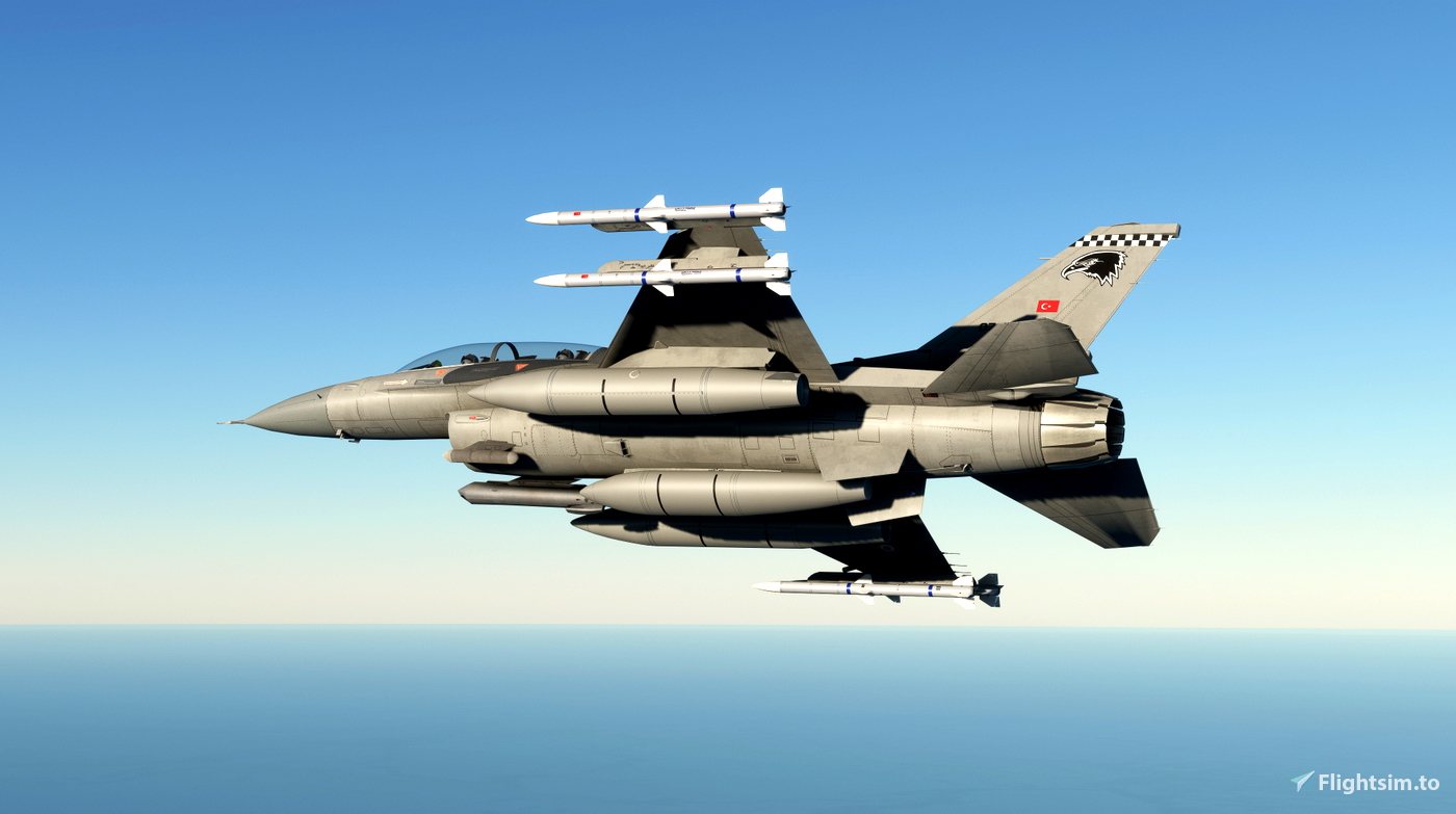 F 161 SC Designs F-16D - 161. Filo