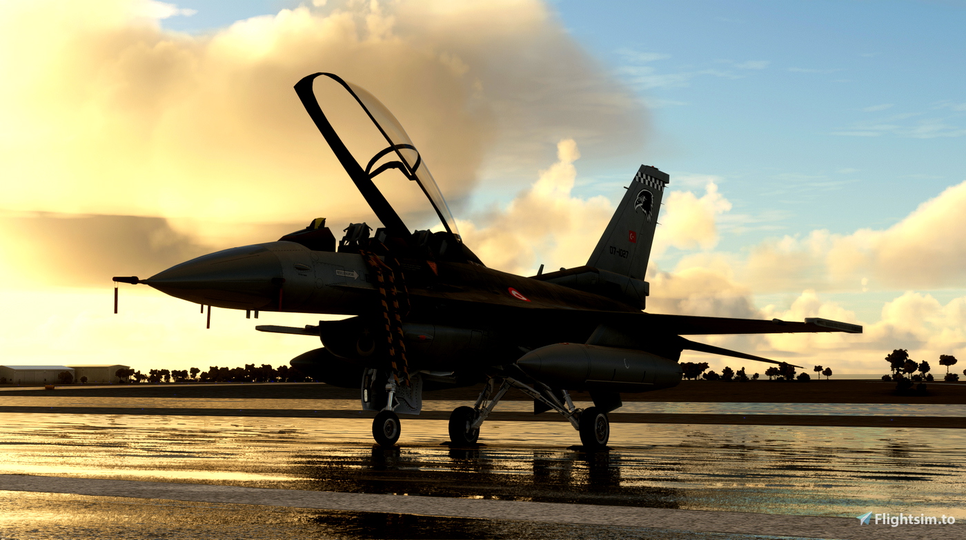 F 161 SC Designs F-16D - 161. Filo