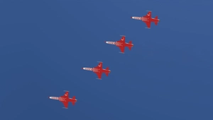 SC Designs F-5 TUAF TURKISH STARS (8K) thumbnail 2