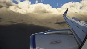 2 Pack (SE-RZX & EI-SIN) - SCANDINAVIAN AIRLINES A320NEO (SAS) - NEW LIVERY 8K - INI A320NEO thumbnail 5