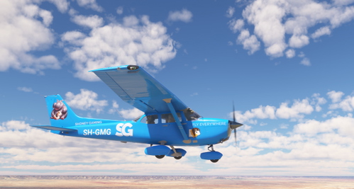 Shoney Gaming Bogalu Cessna 172