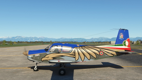 Siai Marchetti S.208/M Centenario AMI livery for the Nemeth Design S.205