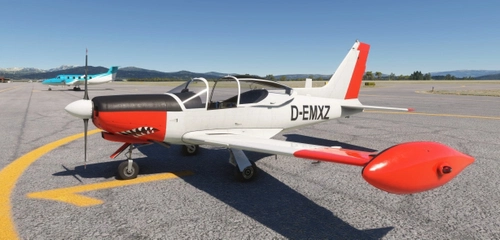 Sim Skunk Works SF-260 D-EMXZ