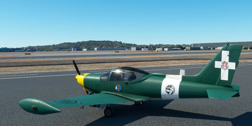 Sim Skunk Works SF-260 Dogfight series "MC.202"