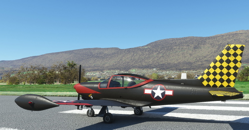 Sim Skunk Works SF-260 Dogfight series "P-40" version 2