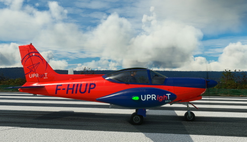 Sim Skunk Works SF-260 F-HIUP