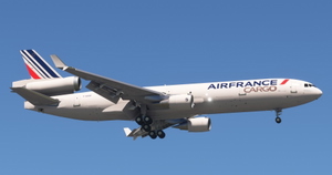 skysim MD-11 AIR FRANCE CARGO (Fictional) [4K] thumbnail 1