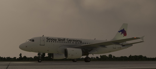 Snow Wolf Germany  A319