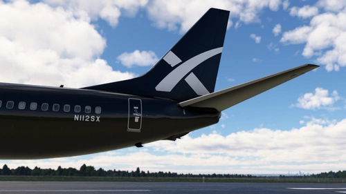 SpaceX  ✈  PMDG 737-800 SSW ✈ Fictional