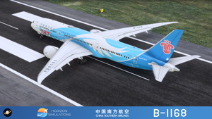 [SPECIAL] Horizon Sim B789 China Southern 中国南方航空 "787th 787" B-1168 8K thumbnail 7
