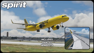 Spirit Airlines A321NEO N702NK (8K) thumbnail 4