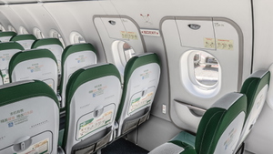 Spring Airlines Special Paint B-6902  V2  SL thumbnail 10