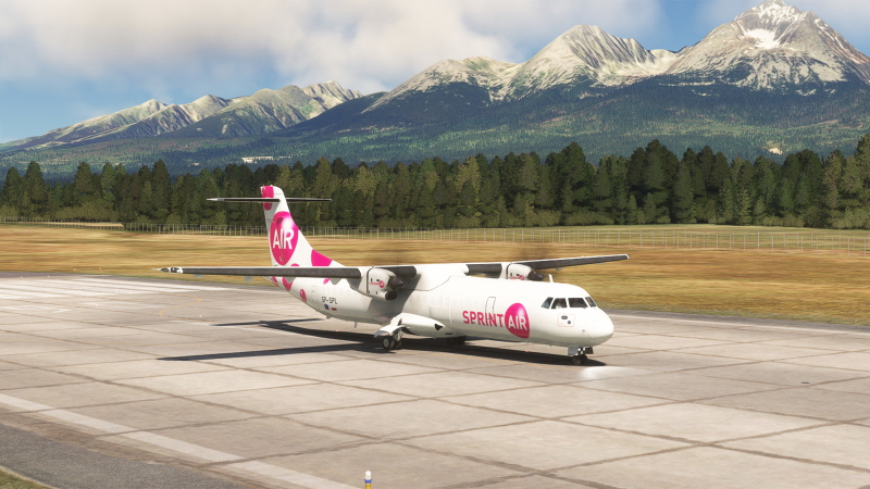 Flight Pro Sprinter Discover & Search - Flightsim.to