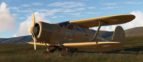 Staggerwing EP-SBR Shapur beige