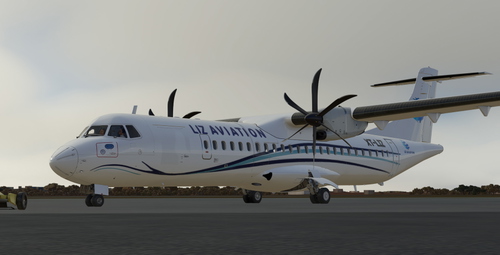 Startrailman Liz aviation ATR72