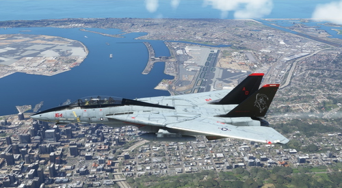 Steve–E & YuRiKAiRi – F–14D Super Tomcat Liveries update & Texture fixes. 