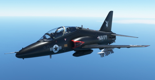 T-45 "Black Bunny" VX-4
