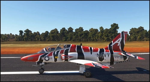 T-45C Goshawk "Flying Tiger" VT-9 