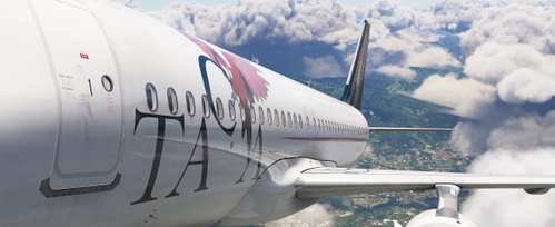TACA  N493TA | 2006 Fuselage/Cabin in 8k for Fenix Simulation A320v2