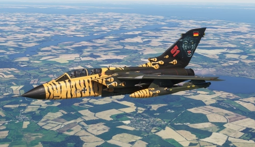 TaktLwG-51-GAF-4396-Panther
