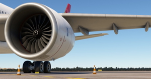 TAP Air Portugal - CS-TUI (100th) HeadWind A330-900neo thumbnail 2