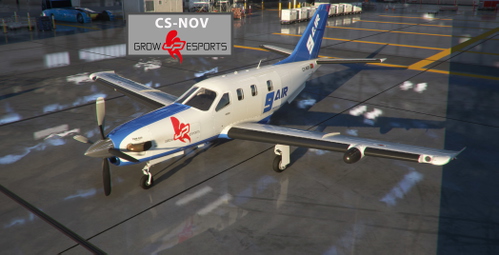 [TBM850]  9AIR - CS-NOV (FICTIONAL)