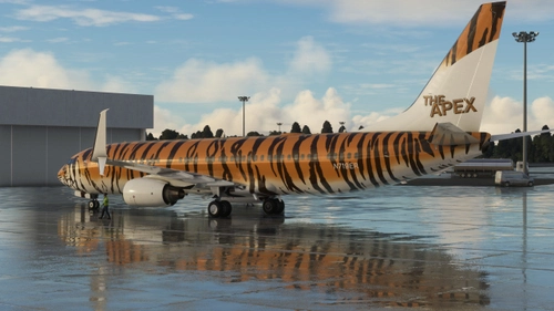 The Apex Tiger PMDG 737-800 BBJ2 (N719ER / Fictional)