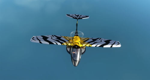The X-A5