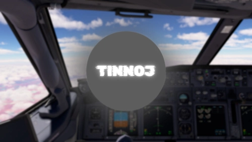 TINNOJ - Realistic custom view B737-800