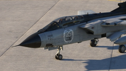 Tornado IDS - IndiaFoxtEcho | 6-31 Italian Air Force - 154° Gruppo