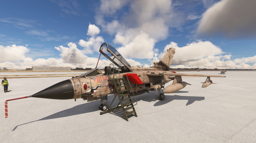 Tornado ZA447 Mig Eater Dirty