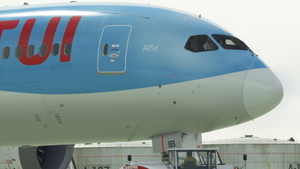 TUI Airways (G-TUIB) - Kuro Boeing 787-8 thumbnail 5