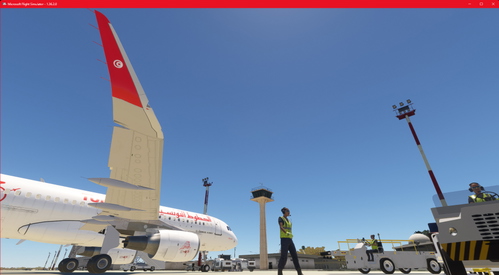 Tunisair A320-214 (SL) TS-IMW livery for LVFR  A320