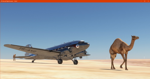 Tunisair DC3 livery