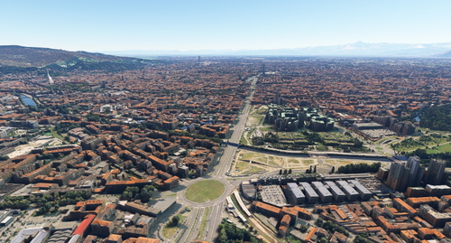 Turin  no  tree