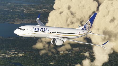 United 737 MAX (Gold Stripe) (w/ Painted Winglets) - Bredok3D 737