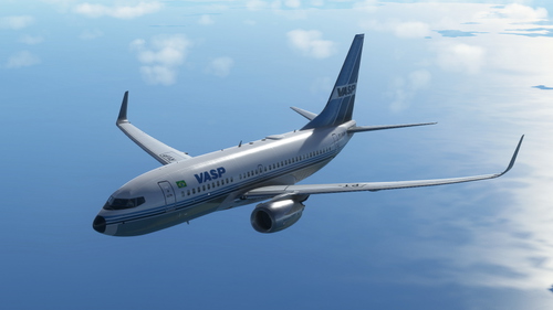 VASP OLD - (PT-RVP - Ficticio)  - PMDG 737-700