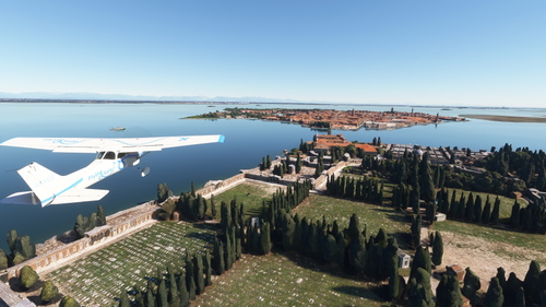 Venedig Italy tree removed