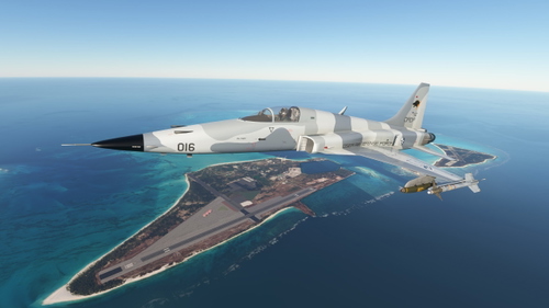 Venom0 F-5E Wardog 1 "Blaze" from Ace Combat 5