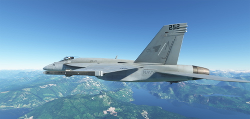 VFA-122 Low Vis for Asobo F/A 18E