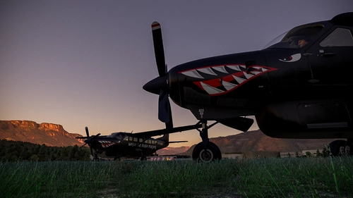 Wash-Air-Bush-Flights [Black Square C208] Livery