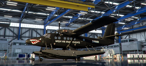 Wash Air Bush Flights [D-WASH] & [D-WILD] [DHC6-300 Amphibian Pax]