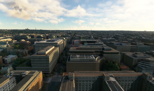 Washington DC no tree