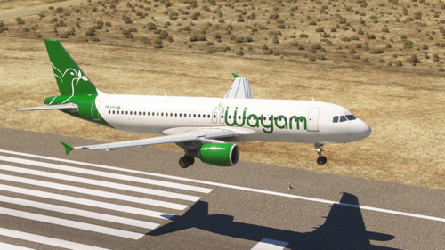 Wayam Airbus A320 (CFM)