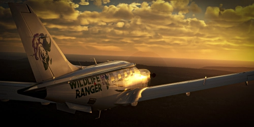 WILDLIFE RANGERS (FICTIONAL ORGANIZATION )