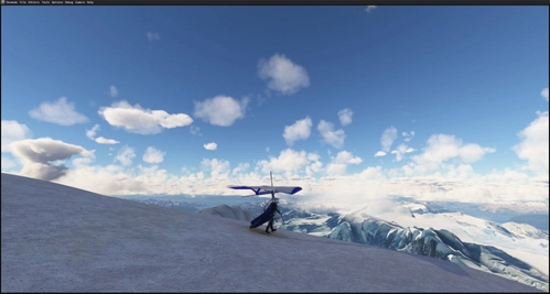 Wills Wing Falcon 4 Hang Glider - Stand Alone Version