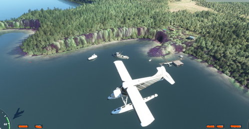 WT45 Wolfies Tongass