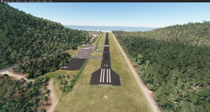 YPAM - Palm Island thumbnail 6