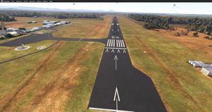 YTRE - Taree thumbnail 7