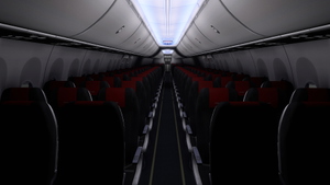 Norwegian Air Sweden (Pack 1) w/Cabin - iFly 737 MAX8 thumbnail 6